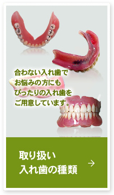 取り扱い入れ歯の種類
